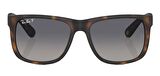 Ray-Ban RB4165 865/8S 55 Polarize Unisex Güneş Gözlüğü