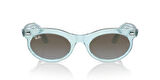 Ray-Ban 0RB 2242 1385/96 53