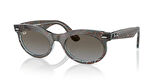 Ray-Ban 0RB 2242 1385/96 53