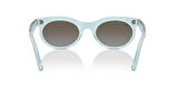 Ray-Ban 0RB 2242 1385/96 53