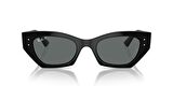 GÜNEŞ GÖZLÜĞÜ Ray-Ban