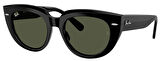 Ray-Ban RB2286 901/31 52 Kadın Güneş Gözlüğü