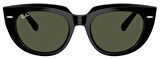 Ray-Ban RB2286 901/31 52 Kadın Güneş Gözlüğü