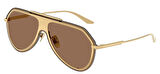 Dolce Gabbana DG2309 02/73 43 Erkek Güneş Gözlüğü
