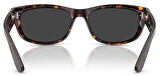 Ray-Ban RB2289 902/48 63 Polarize Unisex Güneş Gözlüğü
