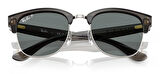 Ray-Ban RBR0504S 670781 51 Polarize Unisex Güneş Gözlüğü