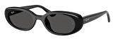 Ray-Ban RB4441D 667787 53 Kadın Güneş Gözlüğü