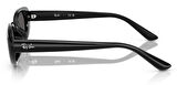 Ray-Ban RB4441D 667787 53 Kadın Güneş Gözlüğü