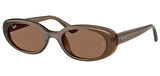 Ray-Ban RB4441D 677973 53 Kadın Güneş Gözlüğü