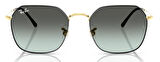 Ray-Ban RB3694 9271GK 53 Unisex Güneş Gözlüğü