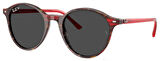 Ray-Ban RB2230 141948 51 Polarize Unisex Güneş Gözlüğü