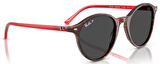 Ray-Ban RB2230 141948 51 Polarize Unisex Güneş Gözlüğü