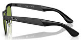 Ray-Ban RB3875 006/4E 53 Unisex Güneş Gözlüğü