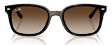 Ray-Ban RB4461D 710/13 64 Unisex Güneş Gözlüğü