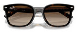 Ray-Ban RB4461D 710/13 64 Unisex Güneş Gözlüğü