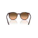 RB 2204 14293B 54 Ray-Ban Güneş Gözlüğü