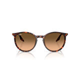 RB 2204 14293B 54 Ray-Ban Güneş Gözlüğü
