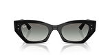 Ray-Ban 0RB 4430 Zena 6677/11 52