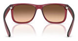 Ray-Ban RB4165 6815A5 55 Erkek Güneş Gözlüğü