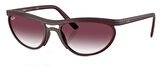 Ray-Ban RB4453 64458H 59 Unisex Güneş Gözlüğü
