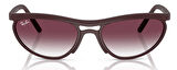 Ray-Ban RB4453 64458H 59 Unisex Güneş Gözlüğü