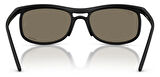 Ray-Ban RB4452CH 601S87 56 Polarize Chromance Unisex Güneş Gözlüğü