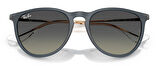 Ray-Ban RB4171 681311 54 Unisex Güneş Gözlüğü