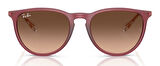 Ray-Ban RB4171 6815A5 54 Kadın Güneş Gözlüğü