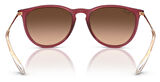 Ray-Ban RB4171 6815A5 54 Kadın Güneş Gözlüğü