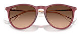 Ray-Ban RB4171 6815A5 54 Kadın Güneş Gözlüğü
