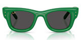 Ray-Ban RB4940 683487 47 A$AP ROCKY Unisex Güneş Gözlüğü