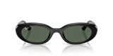 Ray-Ban 0RB 4441D 667771 53