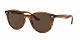RAY-BAN 4305 820/73 53 Ekartman Kadın Güneş Gözlüğü