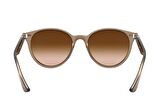 RAYBAN RB4305 616613 UNISEX GÜNEŞ GÖZLÜĞÜ