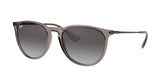 RAY-BAN ERICA RB 4171 COL 6513/8G 54-18-145 UNİSEX GÜNEŞ GÖZLÜĞÜ