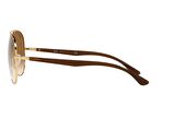 Ray-Ban RB 3675 00151 .58 Güneş Gözlüğü