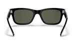 Ray-Ban RB2283 901/31 55 Unisex Güneş Gözlüğü