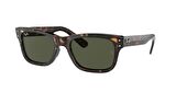 Ray-Ban RB2283 902/31 55 Erkek Güneş Gözlüğü