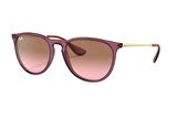 Ray-Ban RB4171 659114 54 Unisex Güneş Gözlüğü