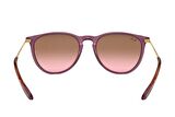 Ray-Ban RB4171 659114 54 Unisex Güneş Gözlüğü