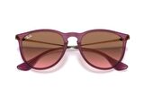 Ray-Ban RB4171 659114 54 Unisex Güneş Gözlüğü
