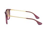 Ray-Ban RB4171 659114 54 Unisex Güneş Gözlüğü