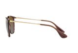 Ray-Ban RB4171 6593T5 54 Polarize Kadın Güneş Gözlüğü