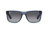 Ray-Ban RB4165 6596T3 54 Polarize Unisex Güneş Gözlüğü