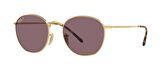 Ray-Ban RB3772 001/AF 54 Polarize Unisex Güneş Gözlüğü