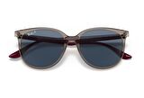 Ray-Ban RB4378 65722V 54 Polarize Kadın Güneş Gözlüğü