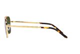 Rayban Güneş Gözlüğü RB3636 9196/31