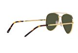 Rayban Güneş Gözlüğü RB3625 9196/31