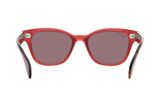 Ray-Ban RB0880S 6639AF 52 Polarize Unisex Güneş Gözlüğü