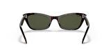 RAY-BAN 2299 902/31 55 KADIN GÜNEŞ GÖZLÜĞÜ